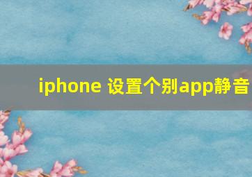 iphone 设置个别app静音